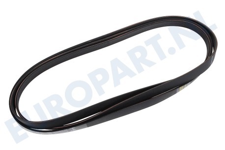Protech Wasdroger 416001300 Poly-V-snaar 1922 H8 TEM