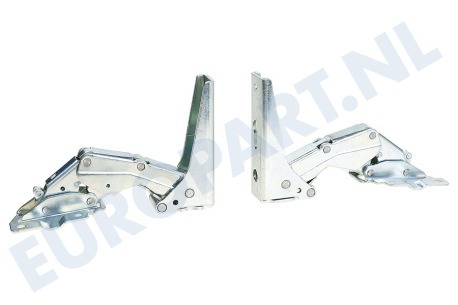 Whirlpool Koelkast 481231018672 Scharnier Set