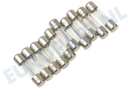 Indesit Glaszekering glaszekering 5 x 20 mm
