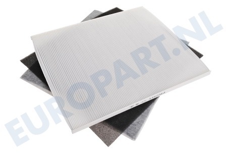 DeLonghi Luchtbehandeling 5537000900 Filter Hepa + koolstof filter