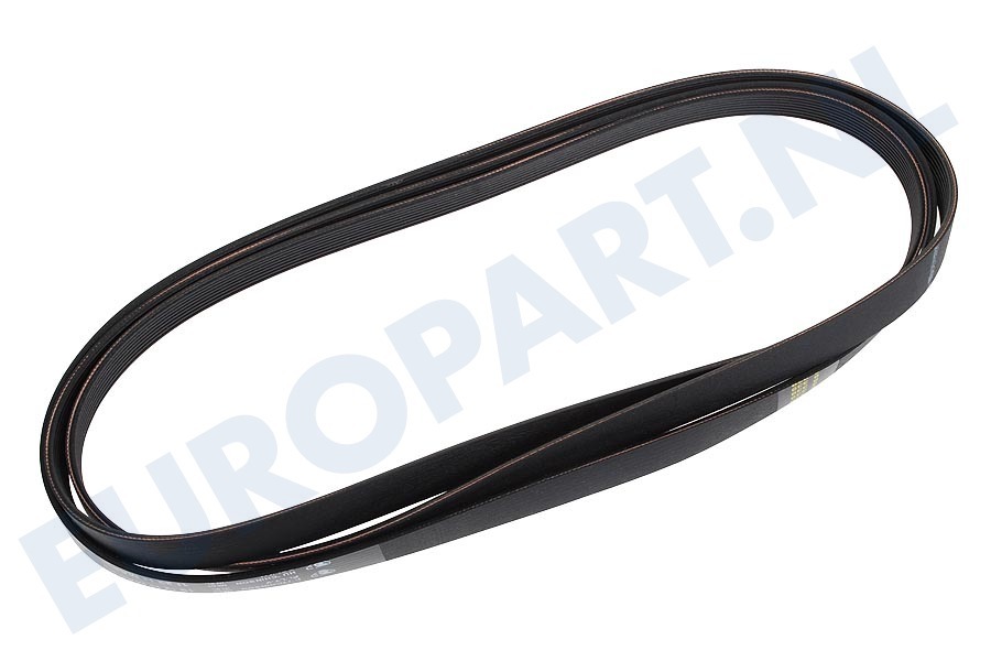 Protech Wasdroger 416001300 Poly-V-snaar 1922 H8 TEM