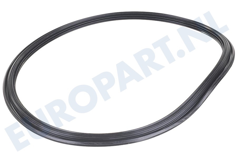 Whirlpool Vaatwasser 481253268099 Afdichtingsrubber Tussen pomphuis en filter