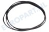 Philips Wasmachine 1951H7 481235818156 Poly-V-snaar 1951 PH H7