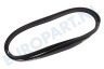 Protech Wasdroger 416001300 Poly-V-snaar 1922 H8 TEM