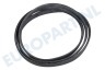 Rondo (n-rn) Wasmachine 8996452374003 Poly-V-snaar 1270 PJ J5