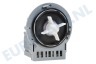 Marijnen Wasmachine 50218959000 Pomp magneet -Askoll-