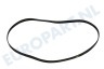 AEG Wasmachine 1323531200 Poly-V-snaar 1196 PJE J6 TEM