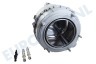 AEG Wasmachine 3484158914 Trommel Compleet, kuip + trommel
