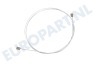 Whirlpool Wasmachine 481932128092 Kabel Kabeltje van zeepbak