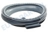 Electrolux Wasmachine 8071200029 Manchet Ovale afvoertuit