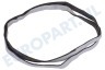 Ariston-Blue Air Wasdroger 142613, C00142613 Viltband Voorzijde