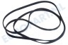 Ariston-Blue Air Wasdroger 116358, C00116358 300793, C00300793 Poly-V-snaar 6PHE 1991 H6