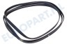 Philips Wasmachine 481235818156 Poly-V-snaar 1951 H7