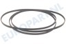Listo Wasdroger 80005267 Poly-V-snaar 1975 PH5