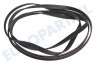 Miostar (migros) Wasmachine 481235818164 Poly-V-snaar 6PH1936