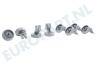 Whirlpool Vaatwasser 481252888112 Wiel van onderkorf
