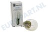 Universeel Koelkast 33FR598 Lampje 15 W. E14 -koelkast-