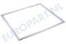 Bauknecht Koelkast 481246668068 Afdichtingsrubber 1150 x 540mm wit