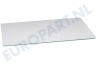 Ignis Koelkast 481946678466 Glasplaat 51,4x30cm safeglass
