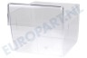 Lloyds Koelkast 2247074202 Groentelade Transparant 290x232x227