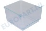 Alternatief Koelkast 9290036 Groentelade Transparant 300x255x160