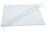 Whirlpool Koelkast 481010603839 Glasplaat 320x400 mm.