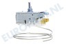 Program 2000 Koelkast 481228238188 Thermostaat A13 0092K C046 Ranco