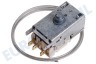 Fagor Koelkast 481227128422 Thermostaat K59 L2020