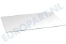 Brandt Koelkast 2249088127 Glasplaat 475 x 307