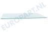 Brandt Koelkast 2249013018 Glasplaat 476x300mm.