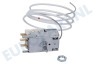 Castor Koelkast 2262136027 Thermostaat K 59-L 1234