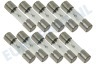 Zoppas Glaszekering glaszekering 5 x 20 mm