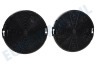 Electrolux Afzuigkap 4055093712 EFF75 Carbon Filter EFF75