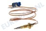 Atag Fornuis 36071 Thermokoppel Lengte 500mm.