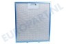 Whirlpool Afzuigkap 480122102168 Filter Metaal in houder 305x268