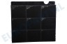 Whirlpool Afzuigkap 484000008575 AMC027 Filter Koolstof 225x210x30mm
