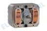 Whirlpool Afzuigkap 481236118575 Motor Van afzuigkap 170W