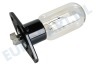 LG Oven-Magnetron 6912W3B002D Lampje 25W, 240V met houder