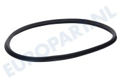 Rex-electrolux 1251142103 Wasdroger Viltband Met rubber voorzijde geschikt voor o.a. LTH57800, LTH58800