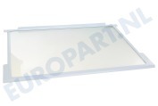 Thomson 163336  Glasplaat Compleet, incl. strippen geschikt voor o.a. KK1170, PKS8200, KK1220, KB8174M/P01