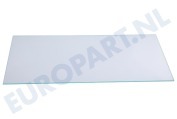 Hisense Koelkast 409794 Glasplaat geschikt voor o.a. PKV4180WITP01, PKV5180RVSP09
