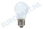 Samsung 4713001201 4713-001201  Lamp Globe 40W E27 geschikt voor o.a. RL38HGIS1, RSH1DTPE1