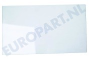 Marijnen 2249061140 Koelkast Glasplaat 475x275mm geschikt voor o.a. ZRC25SM, ZI3102A, SC24310