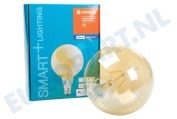 Ledvance  4058075208599 Smart+ Filament Gold Globelamp E27 Dimbaar geschikt voor o.a. E27 5,5W 600lm 2500K